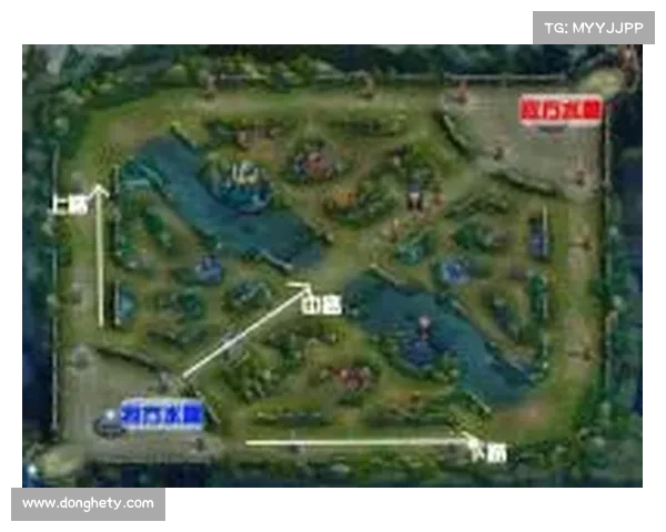 全面解析提升段位实力与解锁专属皮肤的高效策略与实用技巧 全面解析提升段位实力与解锁专属皮肤的高效策略与实用技巧