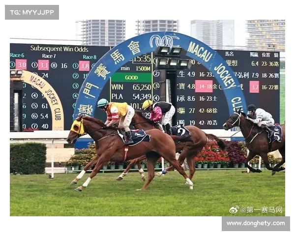 大马羽毛球超级1000赛技术解析与制胜策略全面指南